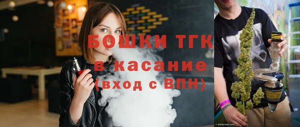 гидра Володарск