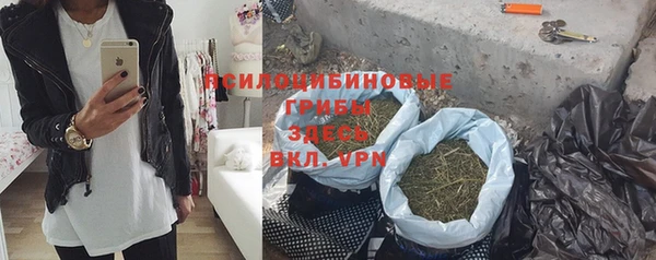гидра Володарск