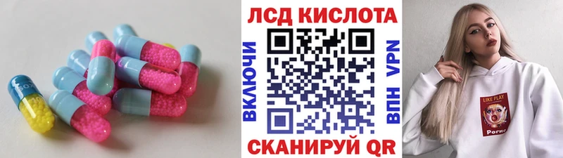 LSD-25 экстази ecstasy  Купить  Лесной 