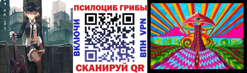 Купить  Лесной  Псилоцибиновые грибы мицелий 